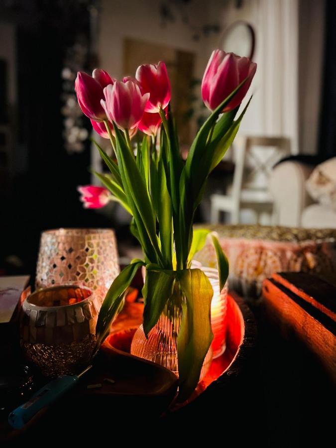 Schlafen Im Atelier - Einzigartiges Gaestezimmer Am Ammersee Apartman Schondorf am Ammersee Kültér fotó